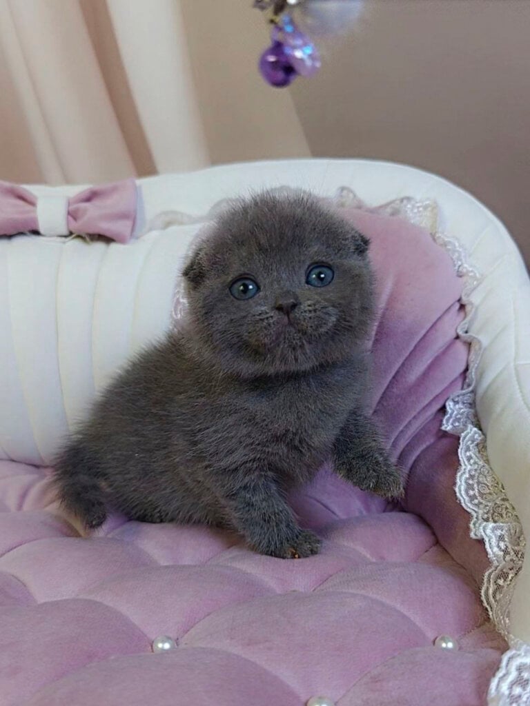 Photo 2026 03 31 17 12 25 4