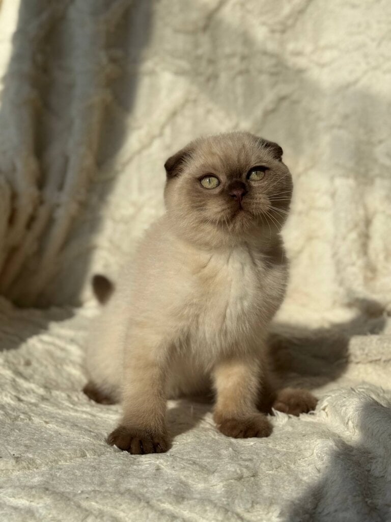 Photo 2026 04 01 10 37 23