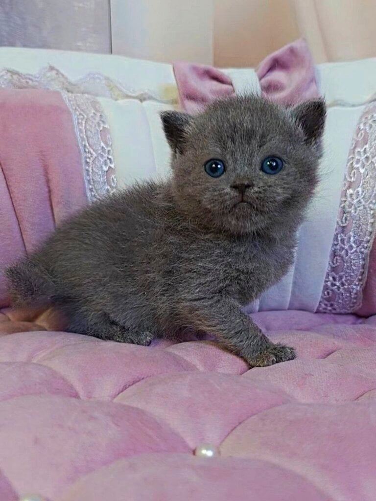 Photo 2026 04 01 12 04 46 4