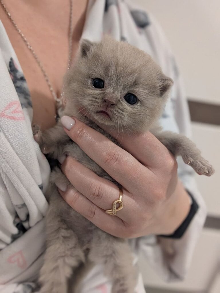 Photo 2026 04 01 13 18 16 4