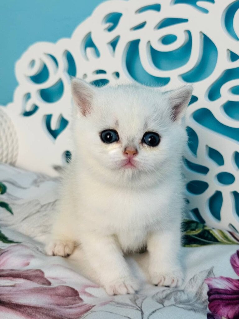 Photo 2026 04 01 14 44 19