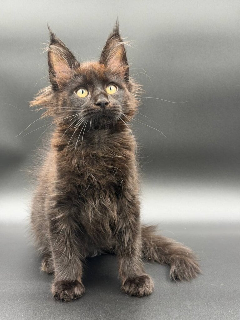 Photo 2026 04 01 17 00 35 2