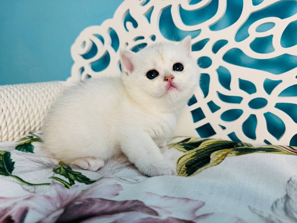 Photo 2026 04 01 17 56 47