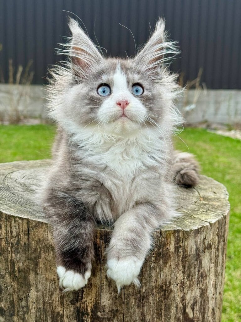 Photo 2026 04 01 18 32 23