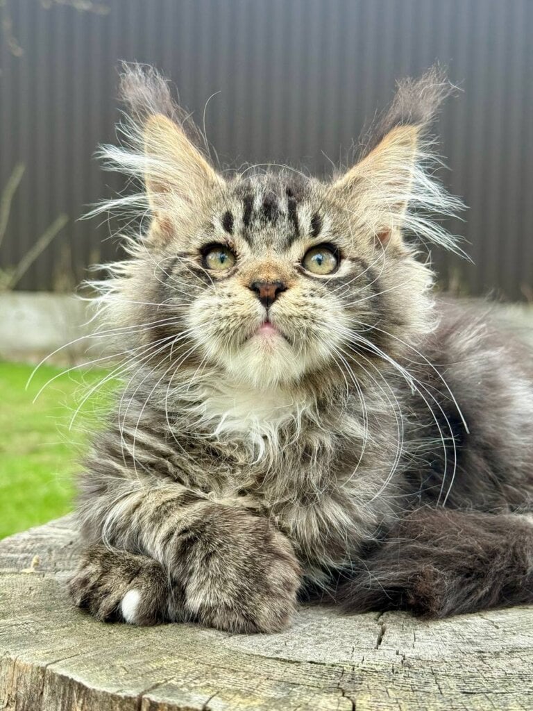 Photo 2026 04 01 22 04 32