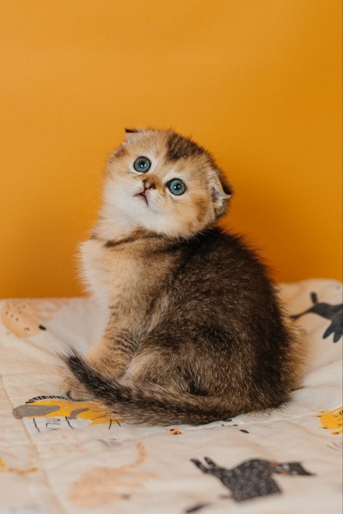 Photo 2026 04 02 12 36 42 2