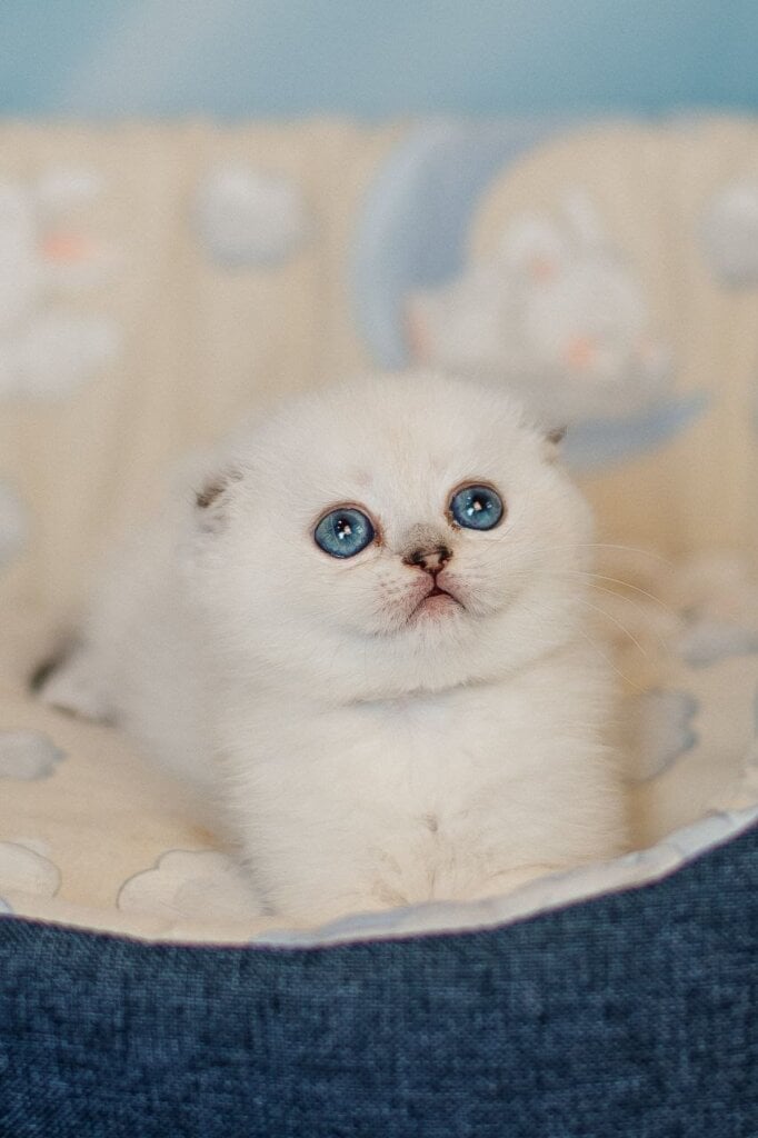 Photo 2026 04 02 12 43 14 2