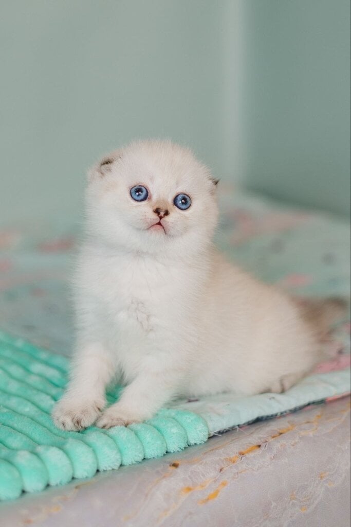 Photo 2026 04 02 16 00 34 2