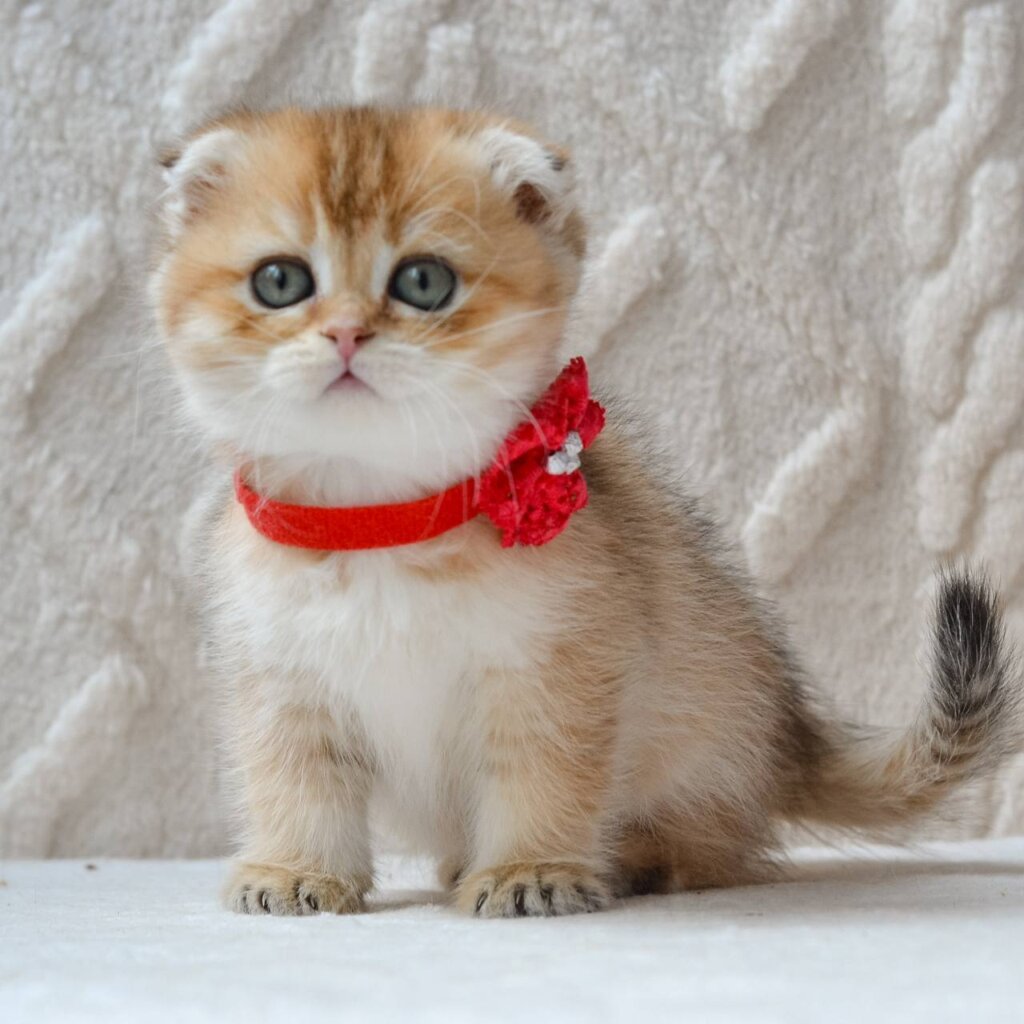 Photo 2026 04 02 17 43 52 2