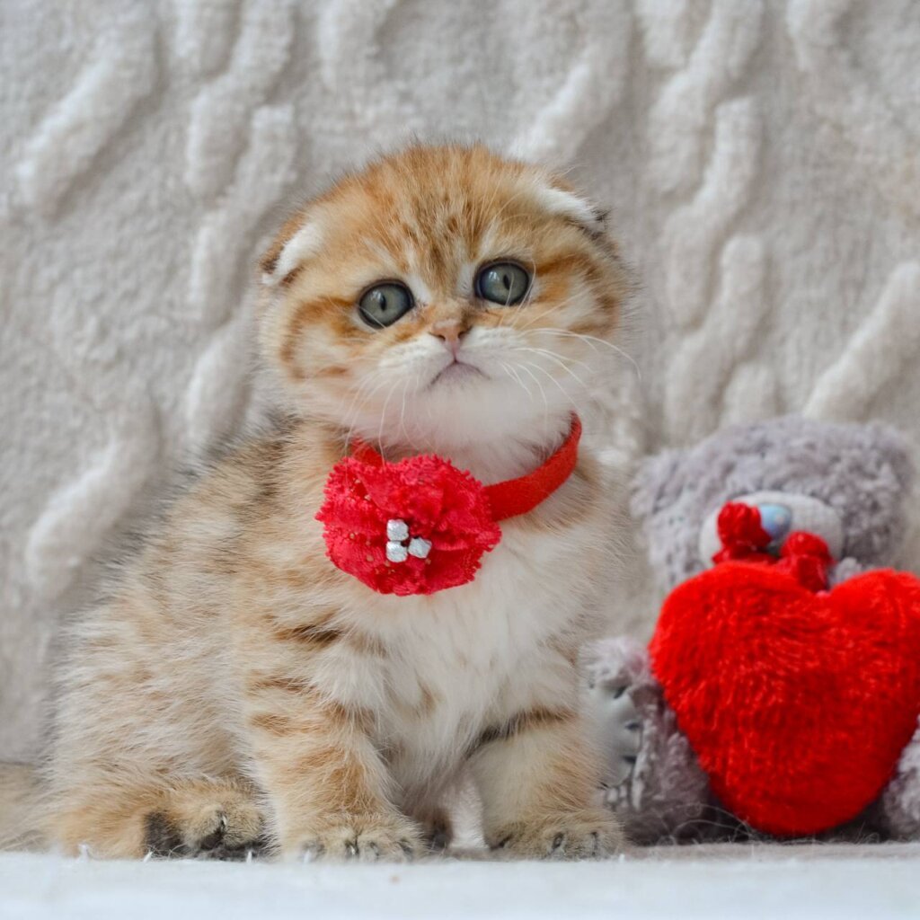 Photo 2026 04 02 17 44 20