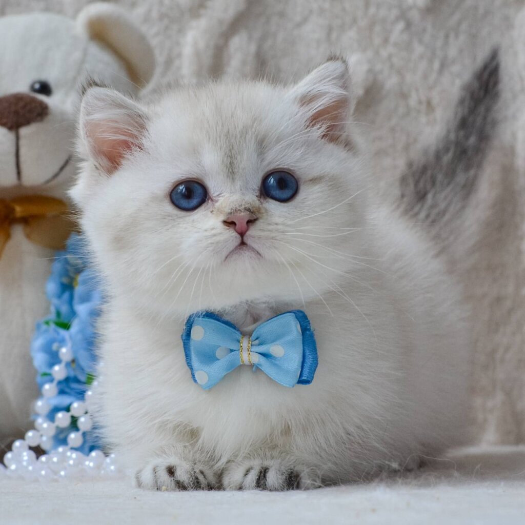 Photo 2026 04 02 17 44 56 2