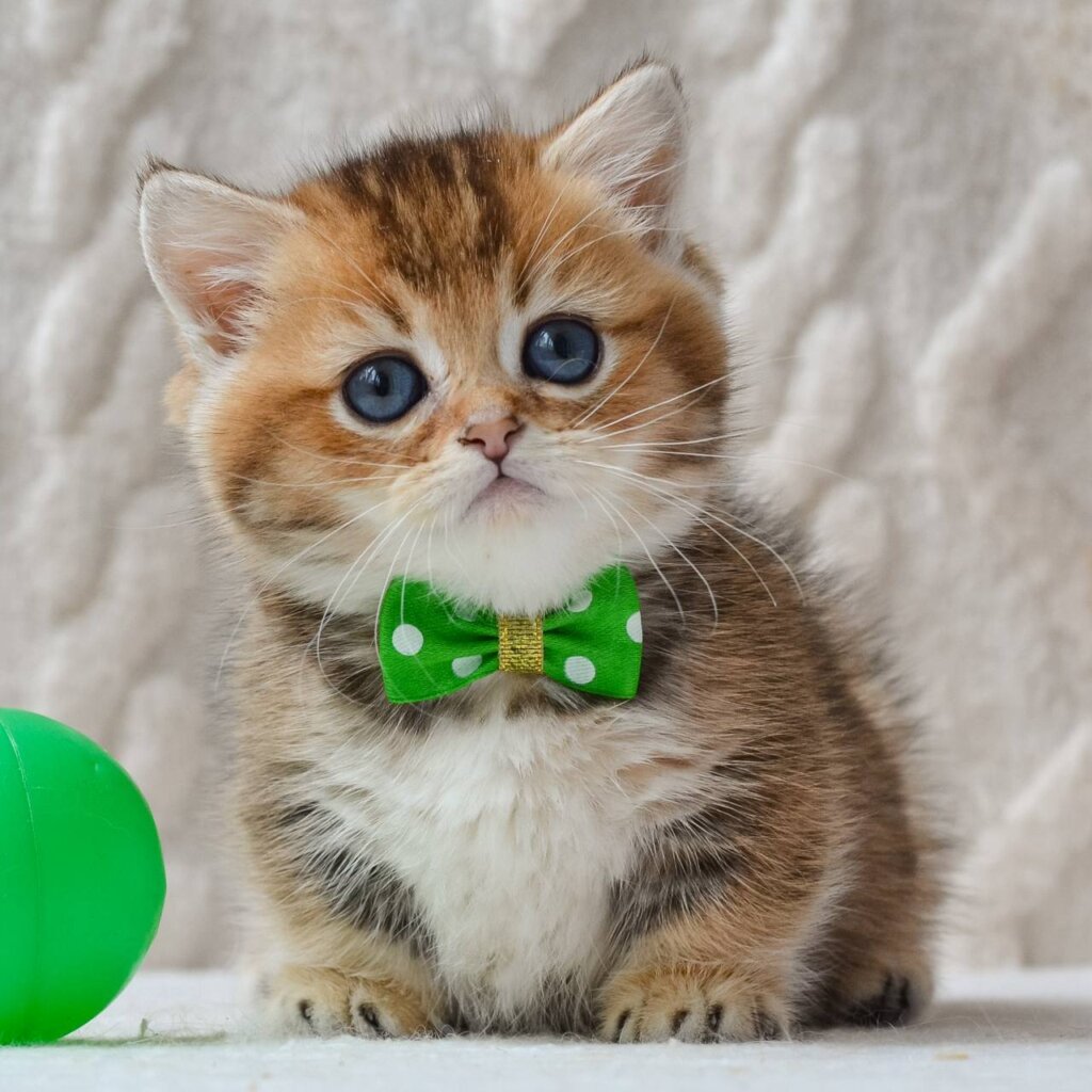 Photo 2026 04 02 17 45 29