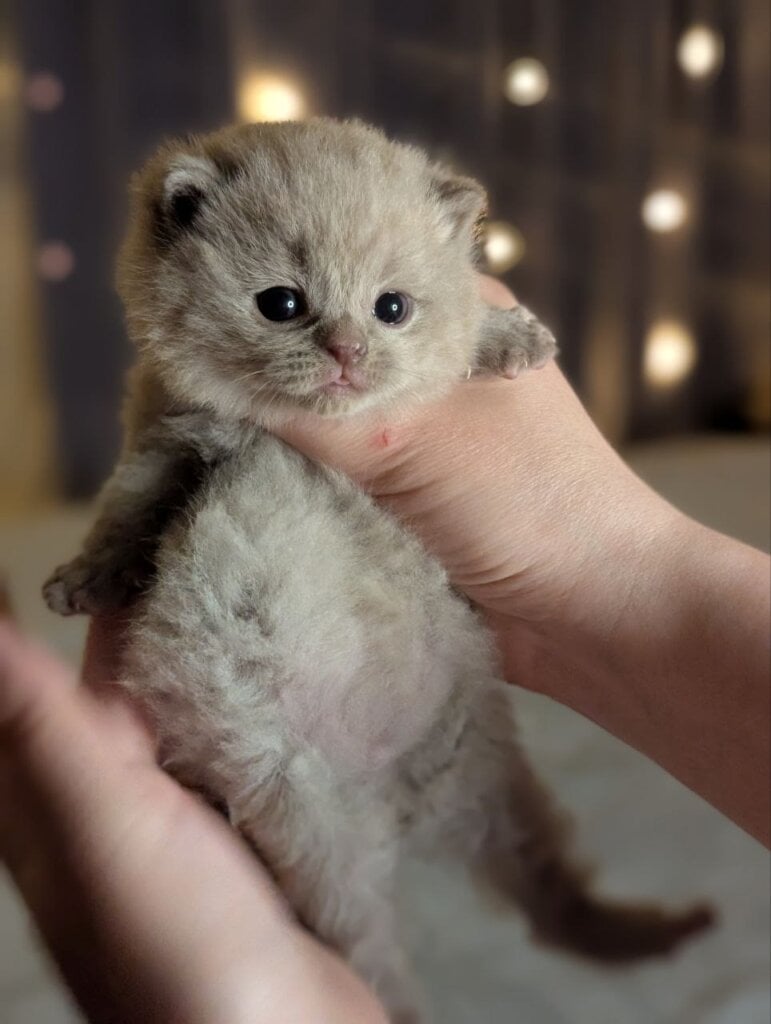 Photo 2026 04 02 21 18 35