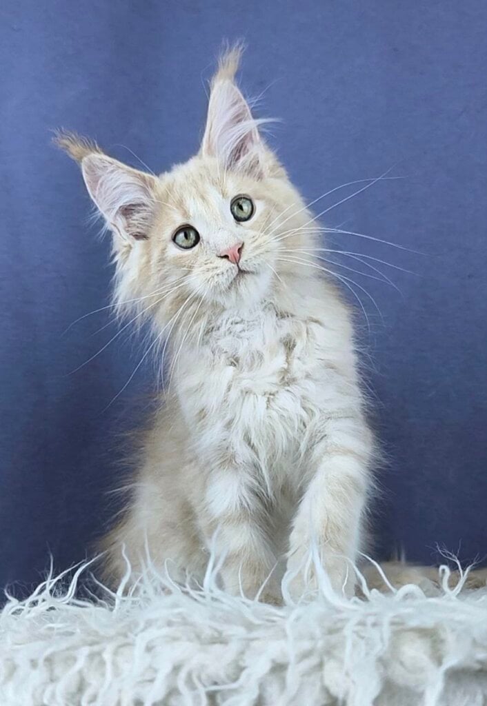 Photo 2026 04 03 09 22 27