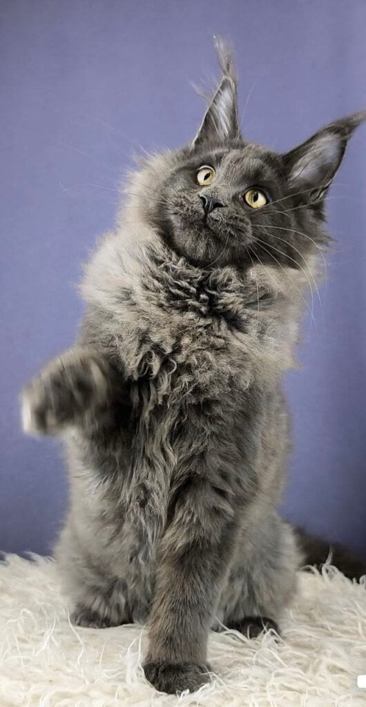 Photo 2026 04 03 09 24 34 2