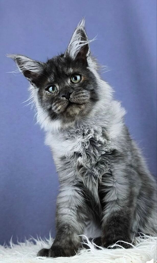 Photo 2026 04 03 09 28 44