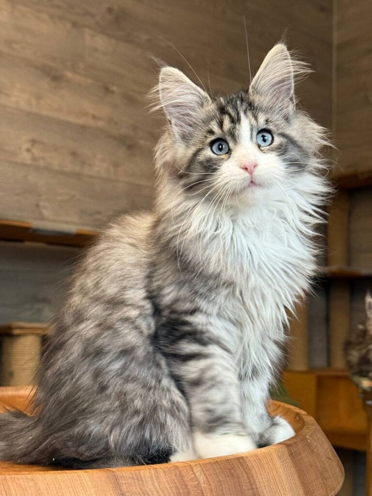 Photo 2026 04 03 16 43 18