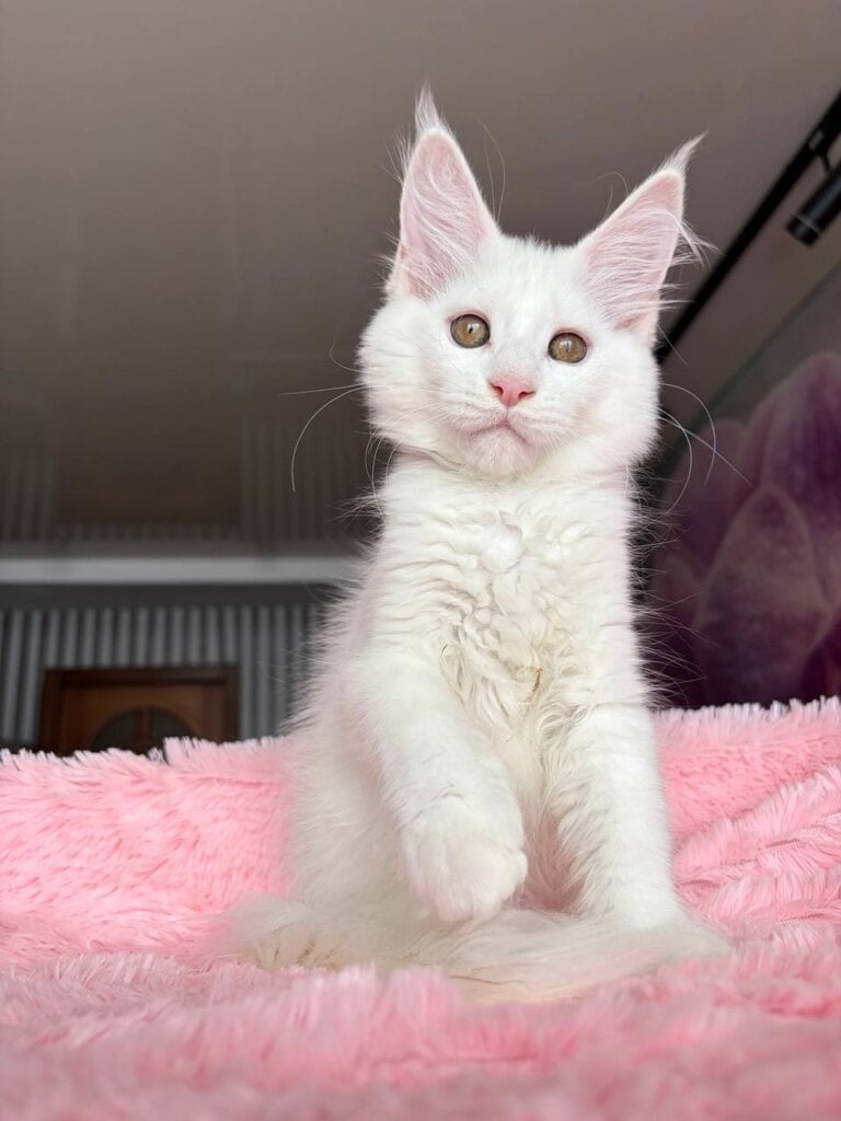 Photo 2026 04 03 17 18 36 2