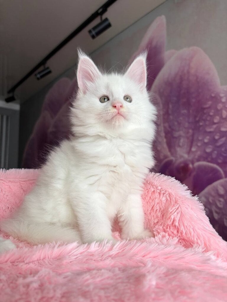 Photo 2026 04 03 17 44 09