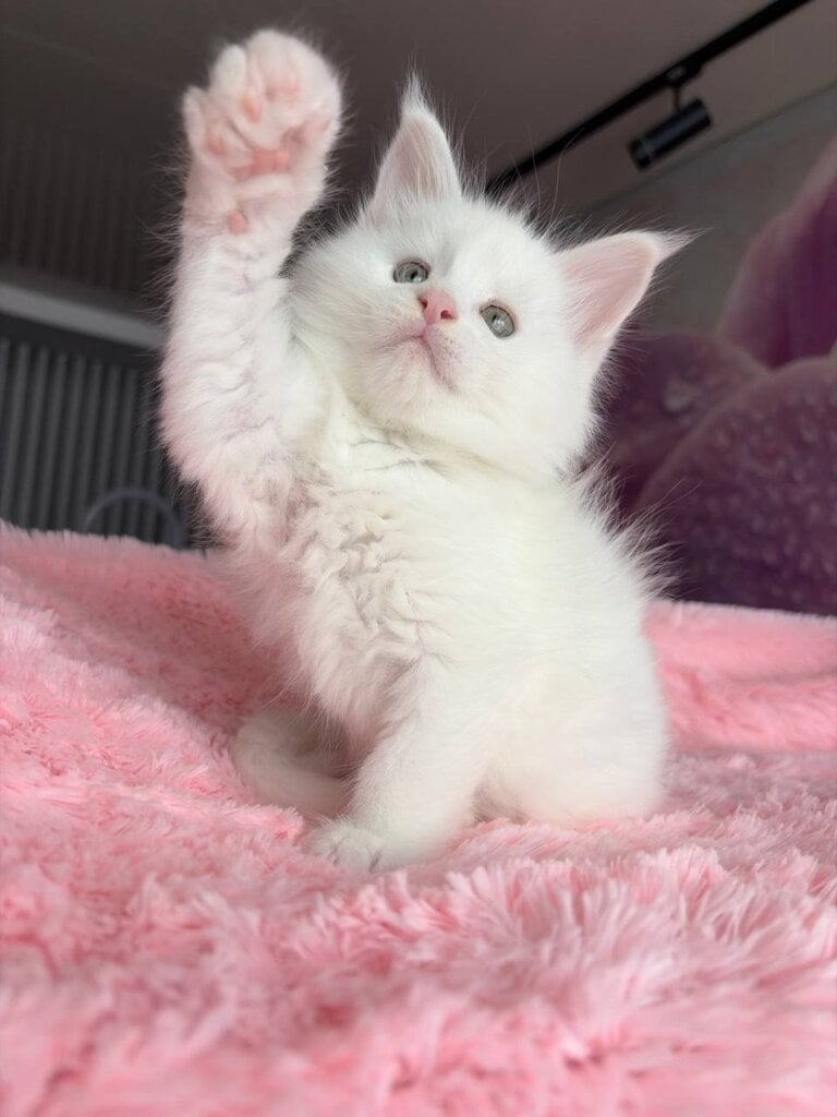 Photo 2026 04 03 17 46 26 2