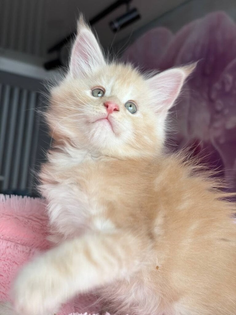 Photo 2026 04 03 17 49 10