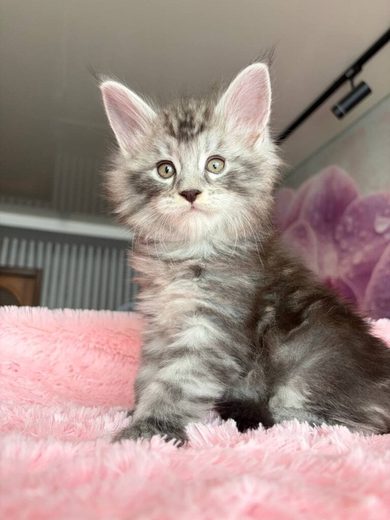 Photo 2026 04 03 17 50 55