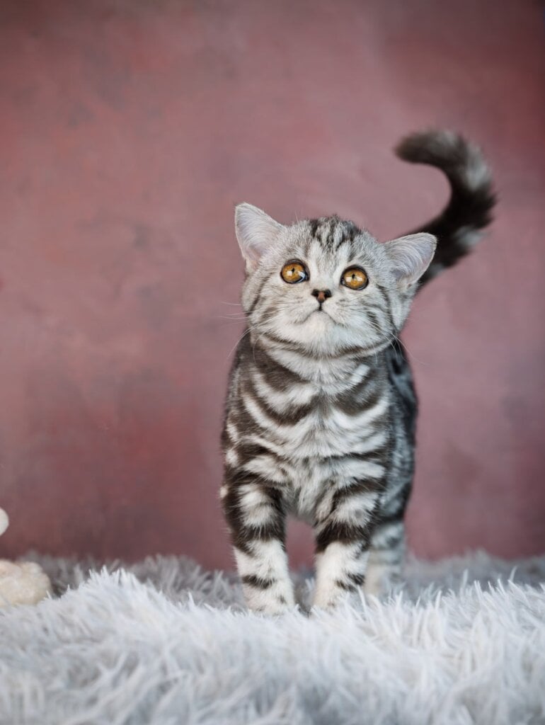 Photo 2026 04 03 21 08 11 5