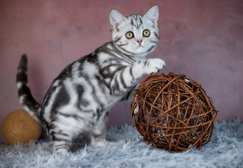 Photo 2026 04 03 21 14 59 3