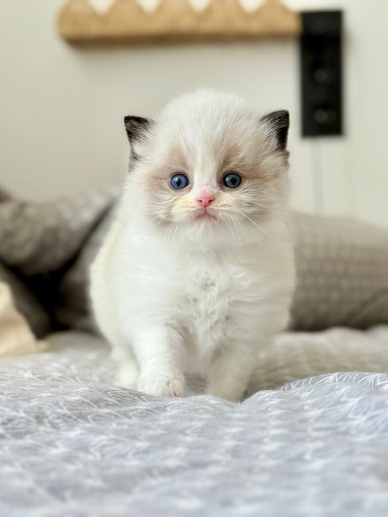 Photo 2026 04 04 14 57 56