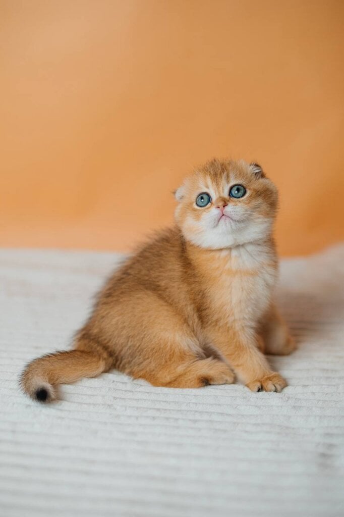 Photo 2026 04 04 18 22 47