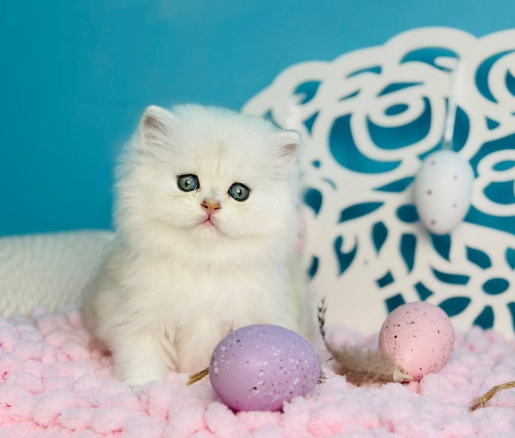 Photo 2026 04 05 14 24 56