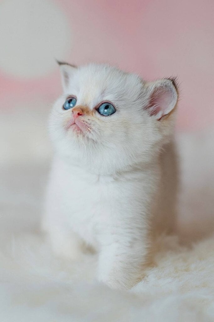 Photo 2026 04 05 15 33 51