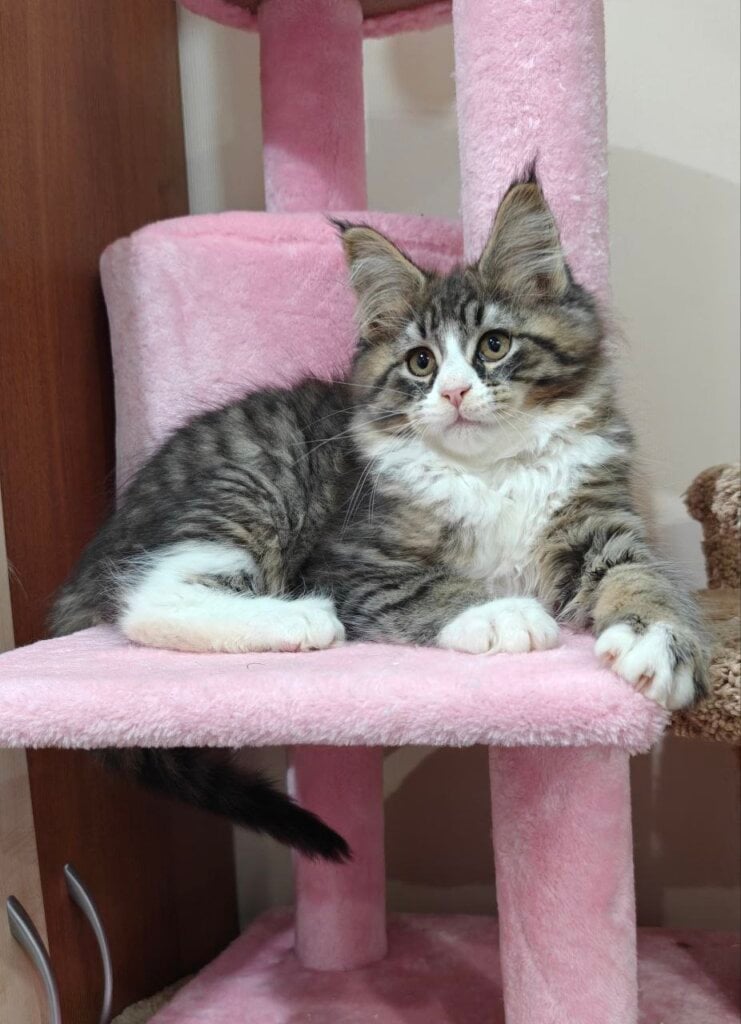 Photo 2026 04 05 18 33 29