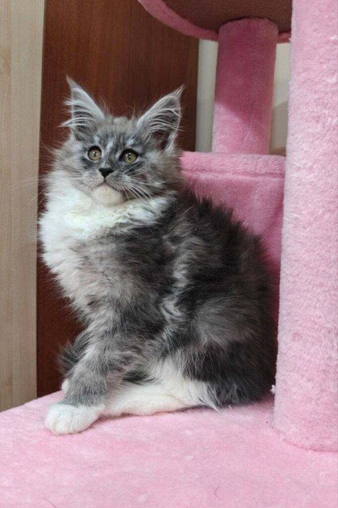 Photo 2026 04 05 18 37 07