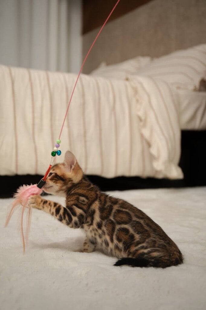 Photo 2026 04 05 22 56 36