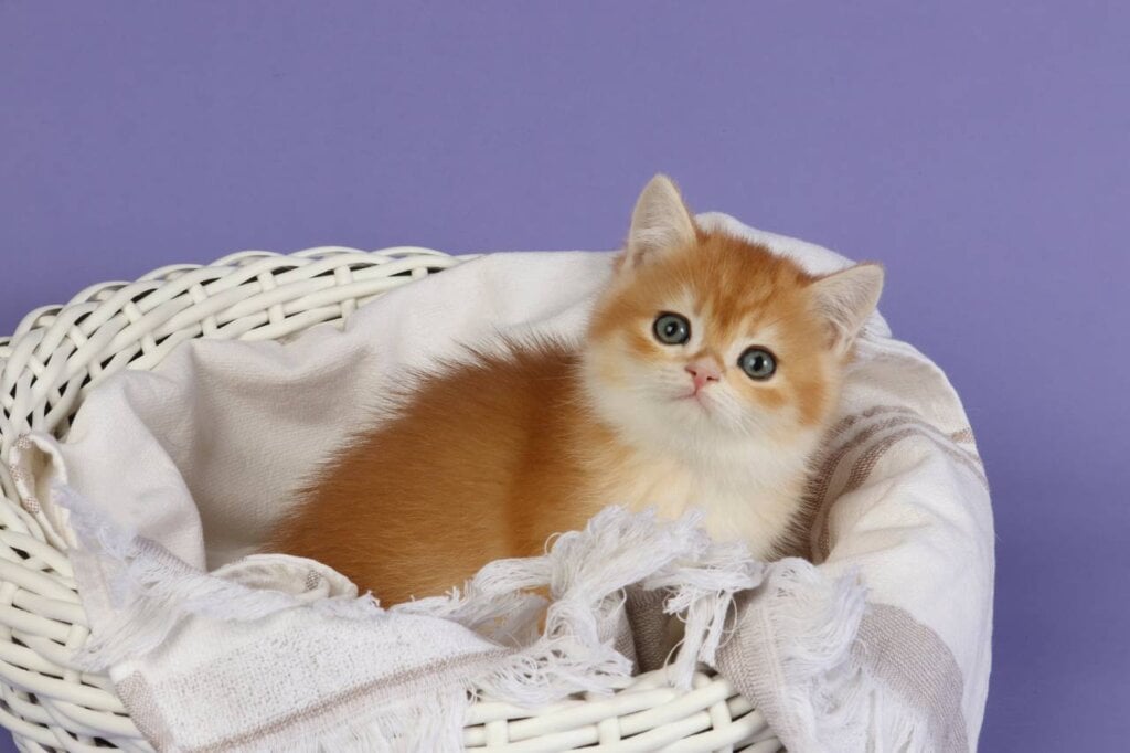 Photo 2026 04 06 08 38 17