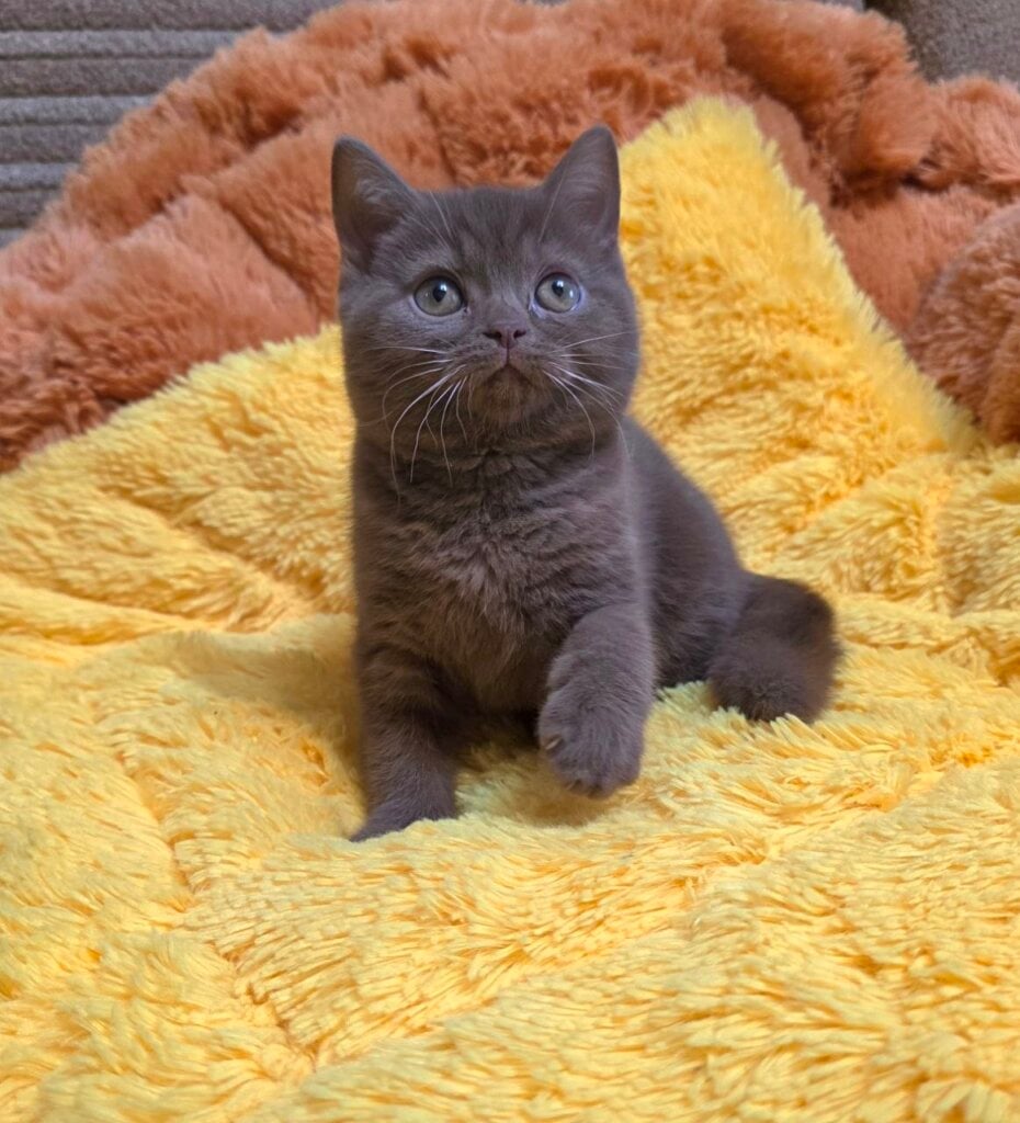 Photo 2026 04 06 16 49 56