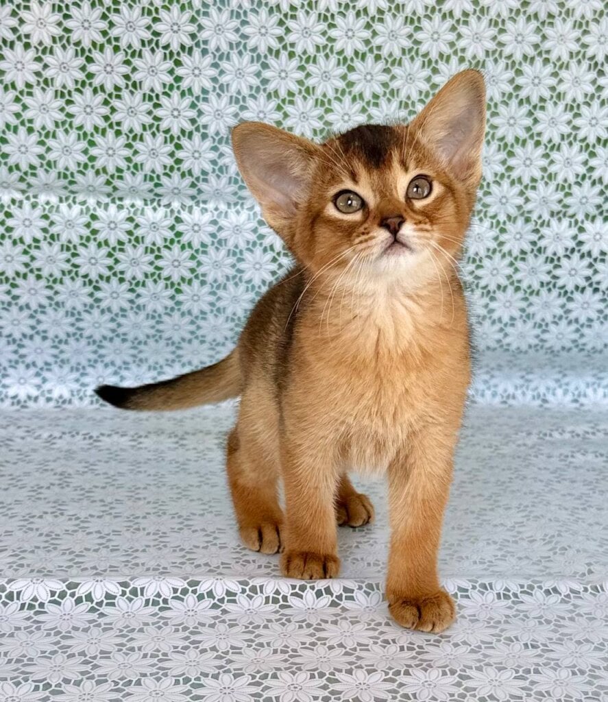 Photo 2026 04 06 19 40 24