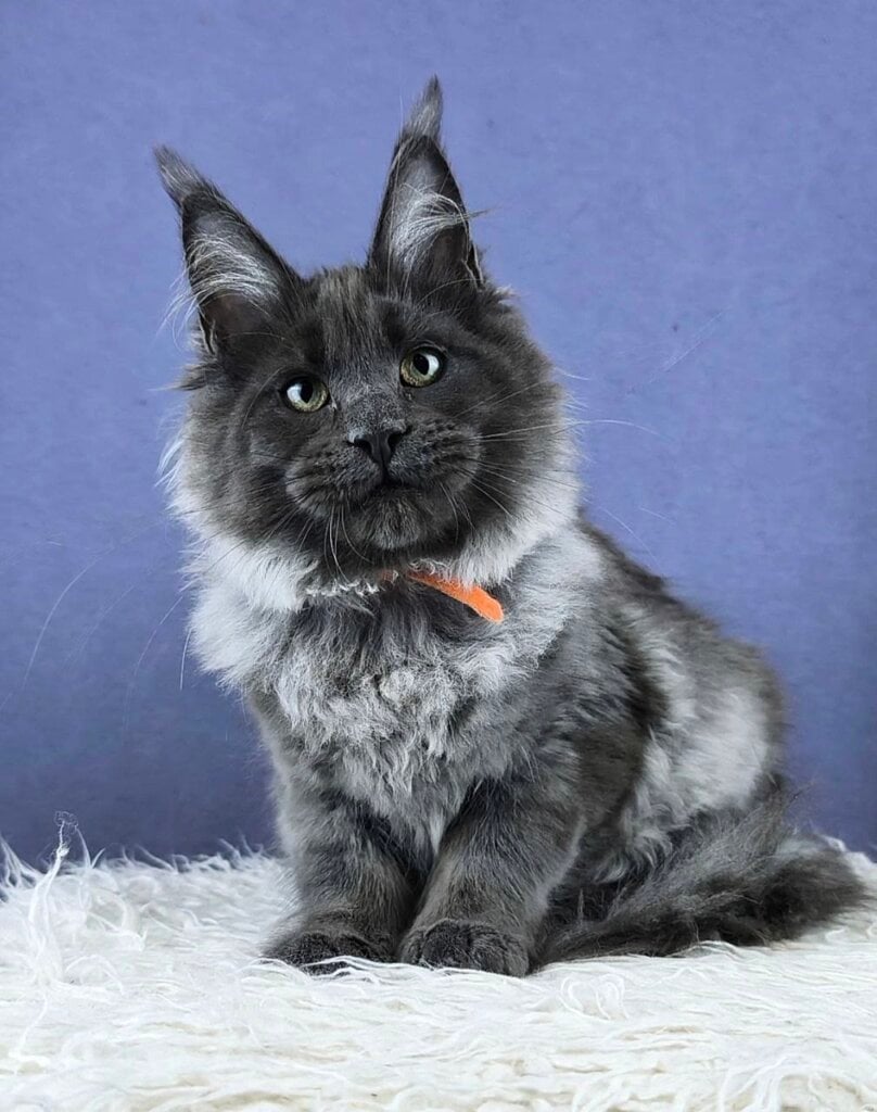 Photo 2026 04 06 22 03 10