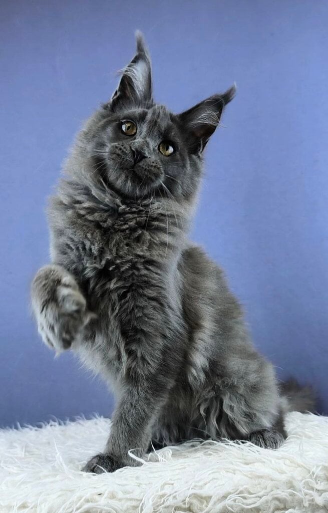 Photo 2026 04 06 22 04 43