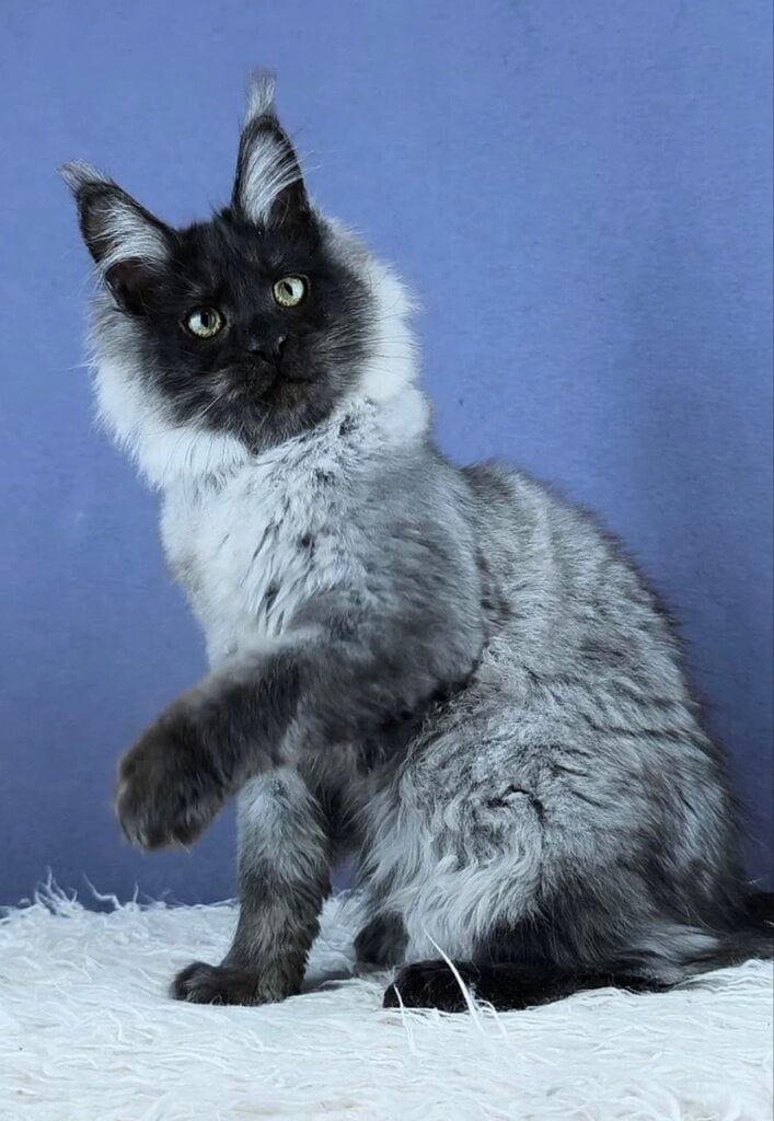 Photo 2026 04 06 22 07 29 3