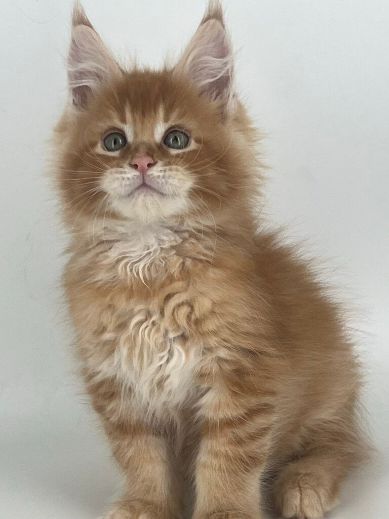 Photo 2026 04 07 13 31 29