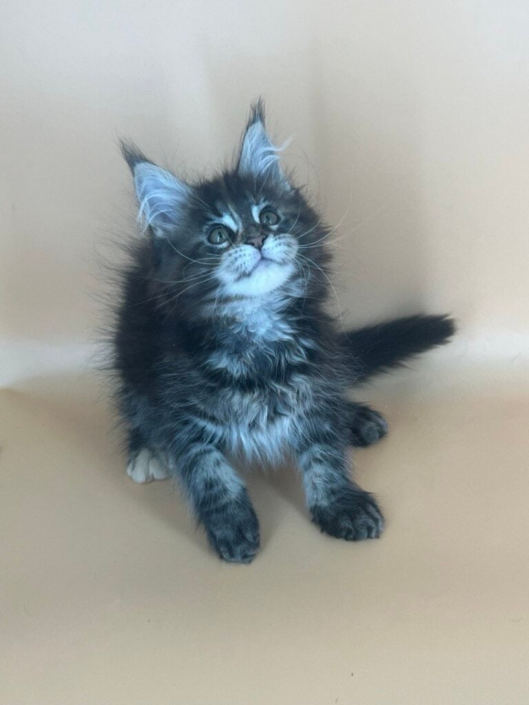 Photo 2026 04 07 13 40 20 3