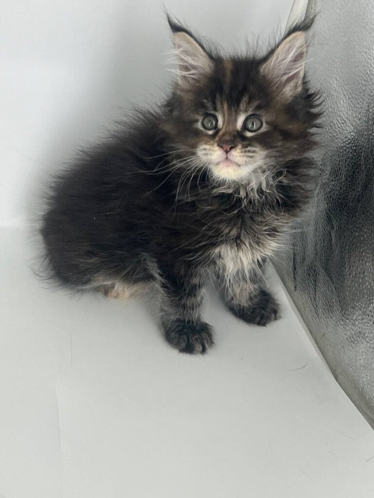 Photo 2026 04 07 13 43 43 2