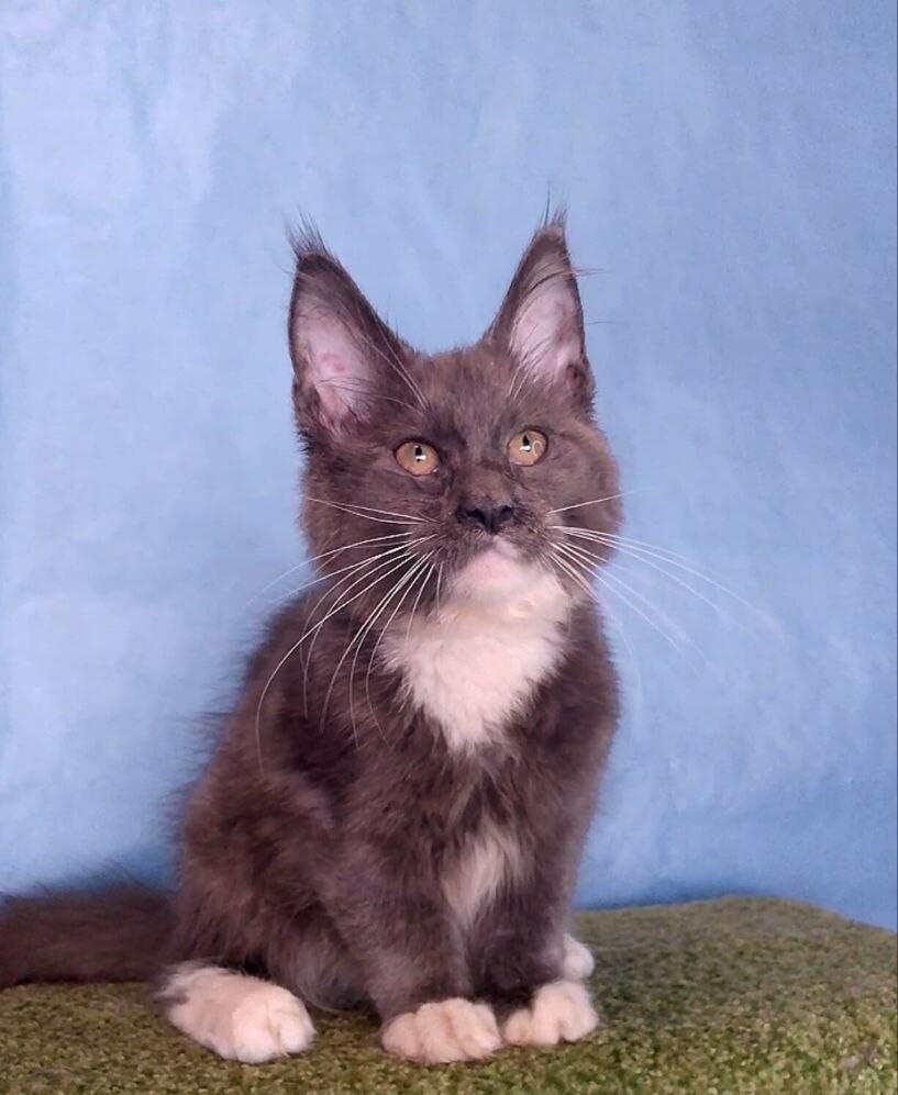 Photo 2026 04 07 13 58 26