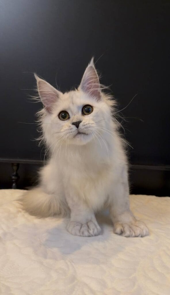 Photo 2026 04 07 14 52 29 2