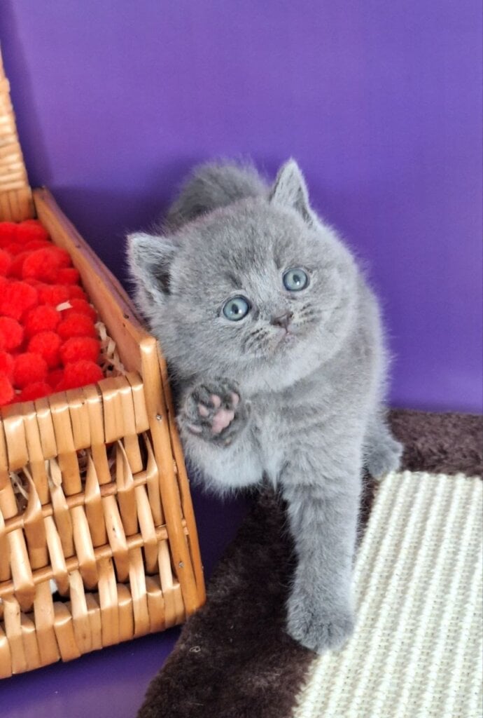 Photo 2026 04 07 16 06 53 2