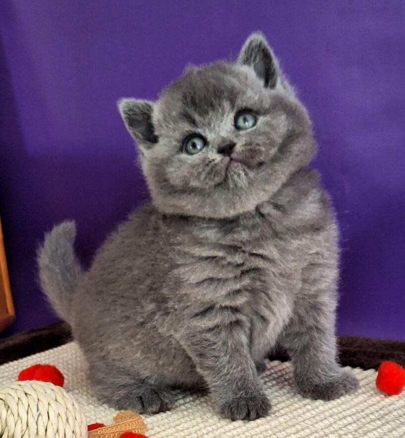 Photo 2026 04 07 16 08 37 5