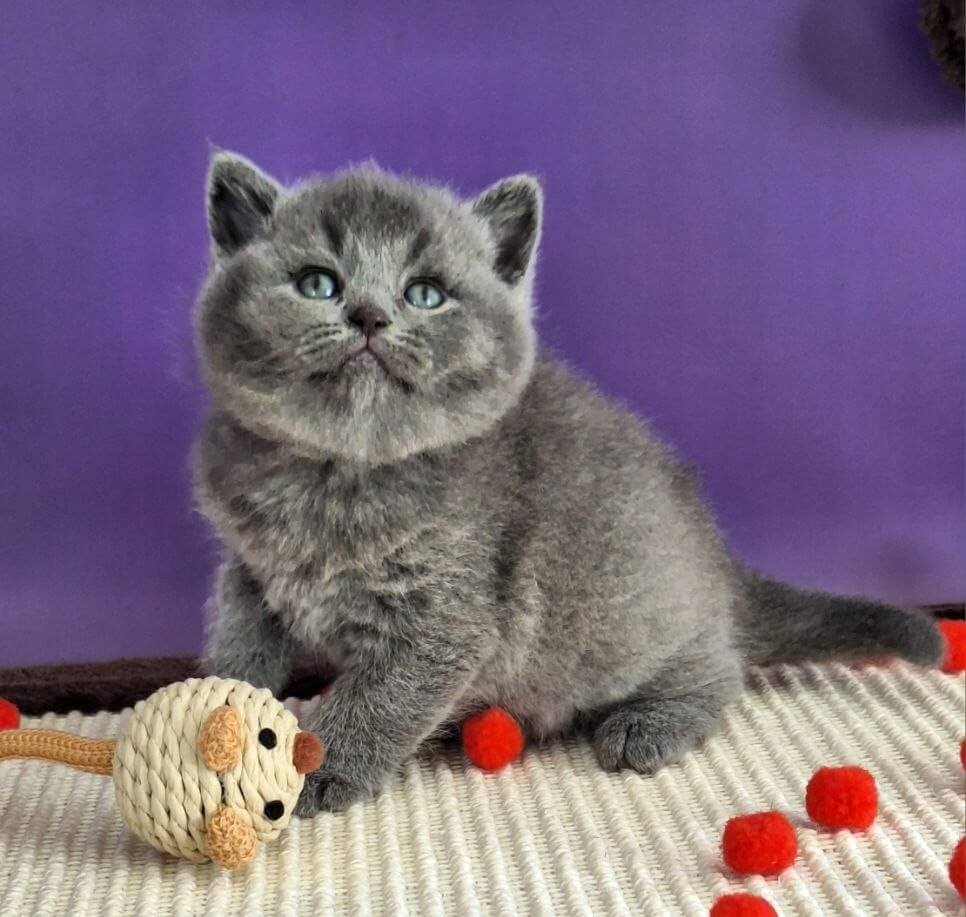 Photo 2026 04 07 16 11 09