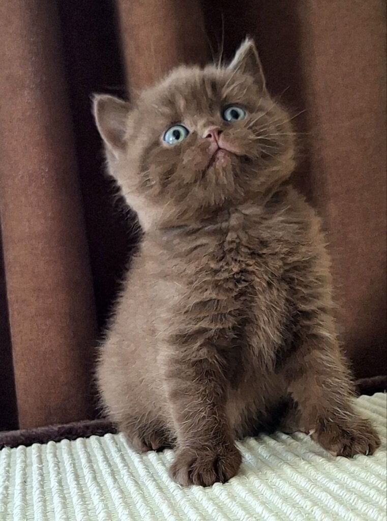 Photo 2026 04 07 16 16 45 3